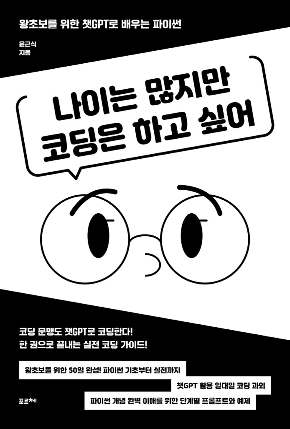 나이는 많지만 코딩은 하고 싶어 표지
