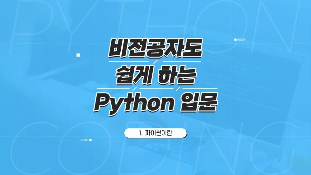 비전공자도 쉽게 하는 Python 입문
